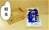 【精米6ヶ月定期便】特別栽培「きなうす米」ゆめぴりか5kg×6回　K001