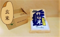 【玄米6ヶ月定期便】特別栽培「きなうす米」ななつぼし5kg×6回　K006
