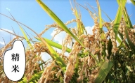 【精米12ヶ月定期便】特別栽培「きなうす米」ゆめぴりか5kg×12回　P010