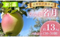 ぐんま名月 [お楽しみ用 わけあり品] バラ詰め 約13kg (30個~50個) [半蔵農園] | ぐんま 名月 りんご 林檎 リンゴ 信州りんご 長野県 千曲市