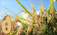 【玄米12ヶ月定期便】特別栽培「きなうす米」ゆめぴりか5kg×12回　P012