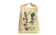 [先行予約][令和8年産 米 香美町産 コシヒカリ 精米 10kg(5kg×2袋)][令和8年10月中旬以降発送予定] 常温 米 お米 白米 令和8年産 こしひかり ふっくら もちもち 食感 冷めても美味しい ふるさと納税 おすすめ 返礼品 兵庫県 香美町 吉田増夫 92-01