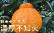 【先行予約】有田育ちの濃厚 不知火 ( デコポン と同品種)( 訳あり 家庭用 )  1kg+200g(痛み補償分) ※北海道・沖縄・離島配送不可【ard208A】