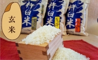 【玄米12ヶ月定期便食べ比べセット】特別栽培「きなうす米」 毎月3品種×2kg計6kg　Q003