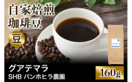 注文後に焙煎★自家焙煎珈琲豆 グアテマラ SHB ソロラ アティトゥラン パンホヒラ農園 中深煎り 160g[豆のまま]|珈琲 コーヒー 焙煎 [0420]