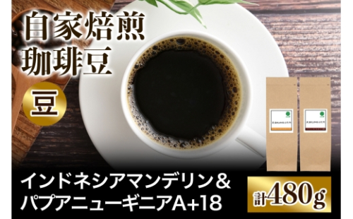 ★注文後に焙煎★自家焙煎珈琲豆 コクと苦みの飲みごたえ系2種 インドネシア マンデリン 240g ＆ パプアニューギニア シグリ農園 240g【豆のまま】｜珈琲 コーヒー 焙煎 [0579] 2613004 - 大阪府交野市