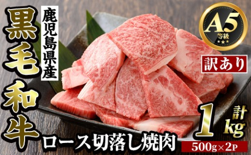 K-321-A ＜訳あり・不揃い＞鹿児島県産黒毛和牛＜A5等級＞ロース切り落とし焼肉(計1kg・500g×2P)【ビーフ倉薗】霧島市 牛肉 ヤキニク 焼き肉 国産 鹿児島県産 黒毛和牛 肉 精肉 牛 2613117 - 鹿児島県霧島市