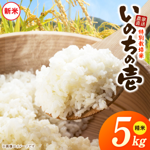 【R8年産新米 先行受付】特別栽培米「いのちの壱」（5kg）＜農家直送＞［208K01］ 2613123 - 愛知県小牧市