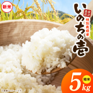 [R8年産新米 先行受付]特別栽培米「いのちの壱」(5kg)[農家直送][208K01]