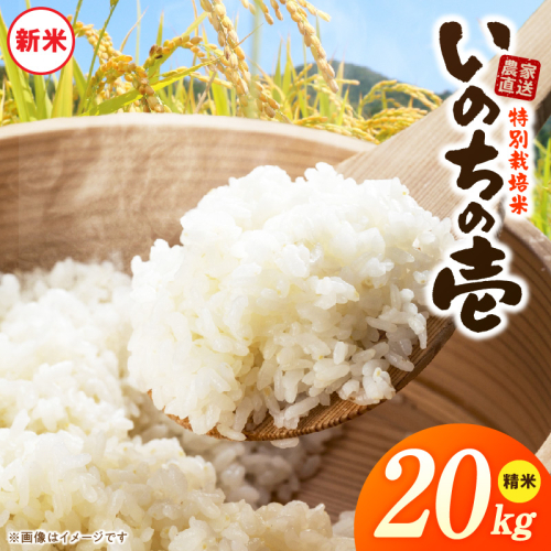 【R8年産新米 先行受付】特別栽培米「いのちの壱」（20kg）＜農家直送＞［208K04］ 2613126 - 愛知県小牧市