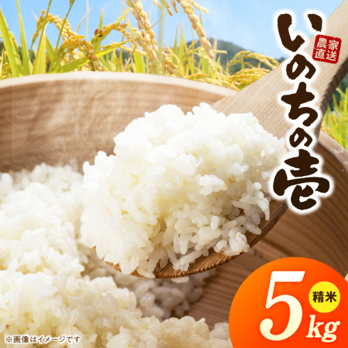 R7年産　「いのちの壱」（5kg）＜農家直送＞［208K09］ 2613131 - 愛知県小牧市