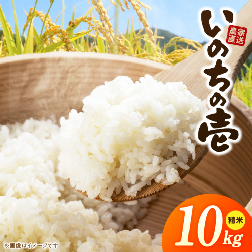 R7年産　「いのちの壱」（10kg）＜農家直送＞［208K10］ 2613132 - 愛知県小牧市