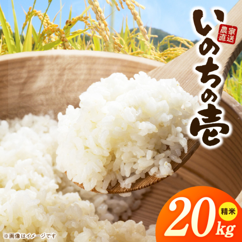 R7年産　「いのちの壱」（20kg）＜農家直送＞［208K12］ 2613134 - 愛知県小牧市