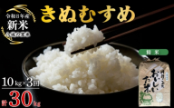 【令和8年産先行予約】【定期便 3ヶ月】きぬむすめ 精米 10kg  合計30kg