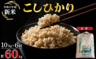 【令和8年産先行予約】【定期便 6ヶ月】こしひかり 玄米 10kg 計60kg