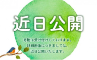＜定期便・全3回＞博多和牛 赤身スライス 約350g