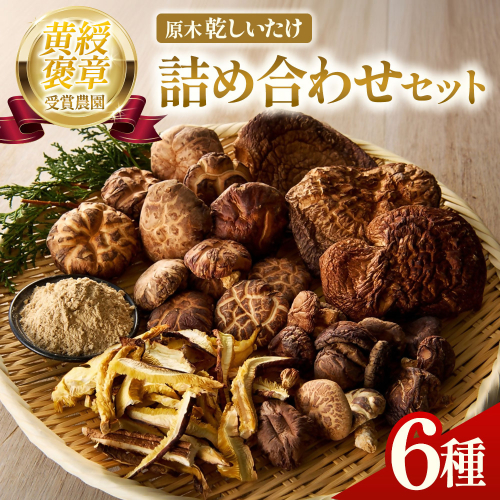 完全無農薬！ 森林栽培原木 乾しいたけ ６種 詰め合わせセット【月20個限定】 YZ-021 2613603 - 三重県多気町