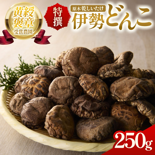 完全無農薬！ 森林栽培原木 乾しいたけ 「特撰・伊勢どんこ」 250g 【月20個限定】 YZ-011 2613604 - 三重県多気町