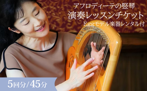 アフロディーテの竪琴　演奏体験セット レッスン 体験 チケット 楽器 愛知県 日進市 2613632 - 愛知県日進市