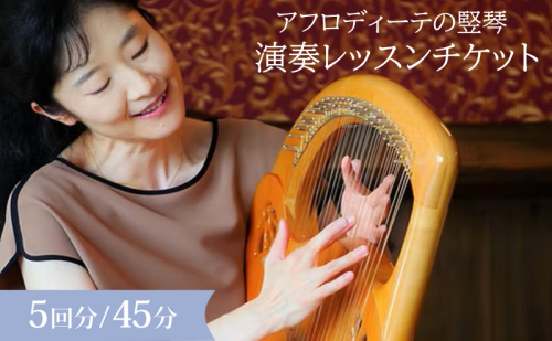 アフロディーテの竪琴　演奏教室チケット レッスン 体験 チケット 楽器 愛知県 日進市 2613633 - 愛知県日進市
