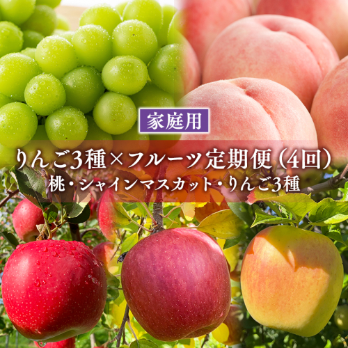 家庭用フルーツ定期便　4回(桃・シャインマスカット・りんご3種) 2613955 - 青森県平川市