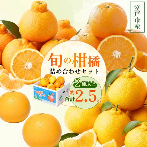 【 柑橘 詰め合わせ 2.5kg 訳あり 】 旬 食べ比べ 2種以上 セット ミカン みかん 蜜柑 ポンカン ぽんかん せとか デコポン 不知火 しらぬい なつみ 小夏 フルーツ ふるーつ くだもの 果物 青果 柑橘類 訳アリ わけあり 規格外 不揃い 傷 産地直送 産直 旬 期間限定 予約 家庭用 自宅用 お取り寄せ 西山台地のフルーツ園 高知県 室戸市 2613964 - 高知県室戸市