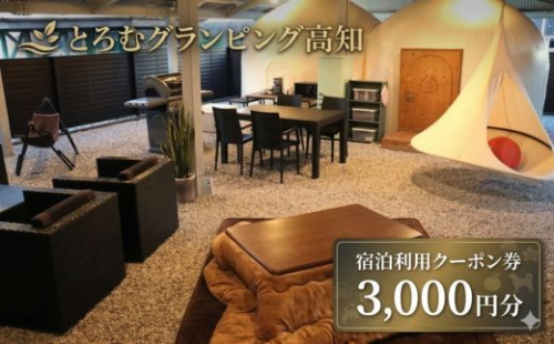 【 とろむグランピング高知 宿泊利用クーポン 3000円分 】 宿泊券 クーポン 旅行券 宿泊 グランピング テント サウナ 一棟貸し 貸切 宿泊施設 旅行 備長炭 癒し 空間 非日常 カップル 家族旅行 記念日旅行 リトリート 炭玄 高知県 室戸市 2613977 - 高知県室戸市