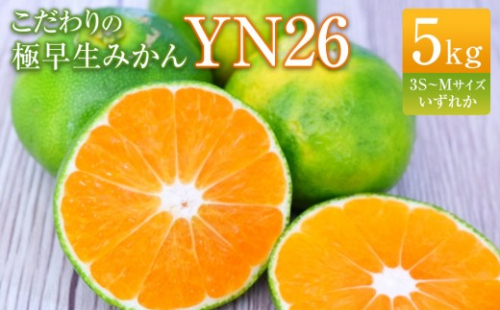 こだわりの極早生みかんYN26 5kg 3S～Mサイズいずれか 2614018 - 和歌山県有田川町
