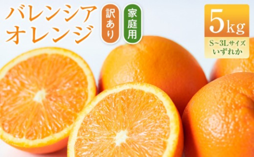 バレンシアオレンジ 家庭用 訳あり 5kg S～3Lサイズいずれか 2614020 - 和歌山県有田川町