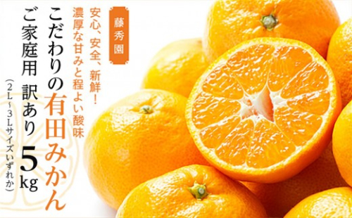 こだわりの有田みかん ご家庭用 訳あり 5kg 2L～3Lサイズいずれか 2614021 - 和歌山県有田川町