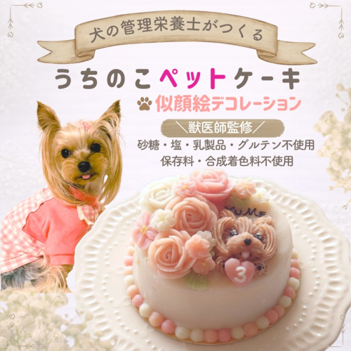 犬の栄養管理士がつくる うちの子ペットケーキ 3号 ( 似顔絵 デコレーション 犬用 ケーキ 犬用ケーキ 3号 犬 いぬ )【232-0001】 2614024 - 北海道北見市