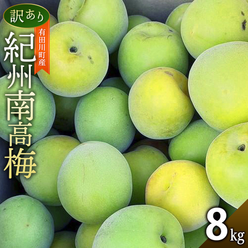 青梅 8kg 訳あり 紀州南高梅 シロップ・梅酒・梅干し用等 和歌山県有田産 2026年5月下旬～7月上旬発送予定 2614026 - 和歌山県有田川町