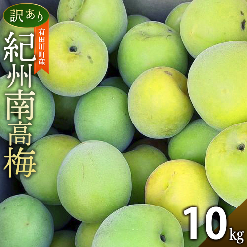 青梅 10kg 訳あり 紀州南高梅 シロップ・梅酒・梅干し用等 和歌山県有田産 2026年5月下旬～7月上旬発送予定 2614027 - 和歌山県有田川町