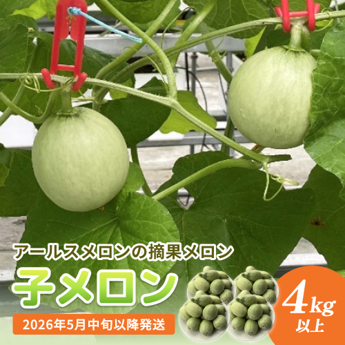 〈先行予約〉 子メロン （アールスメロンの摘果メロン） 4kg以上 ＜2026年5月中旬以降発送＞【お漬物に】【お料理に】  2614030 - 富山県氷見市