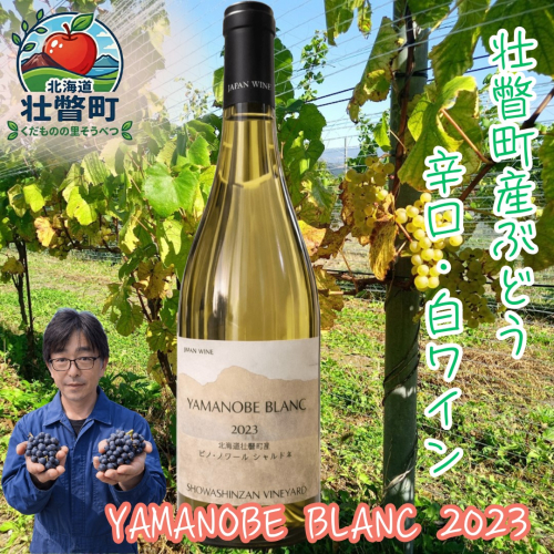 昭和新山ワイン　YAMANOBE BLANC 2023(ヤマノベブラン）白ワイン 辛口 壮瞥町産ぶどう100% SBTQ012 2614066 - 北海道壮瞥町