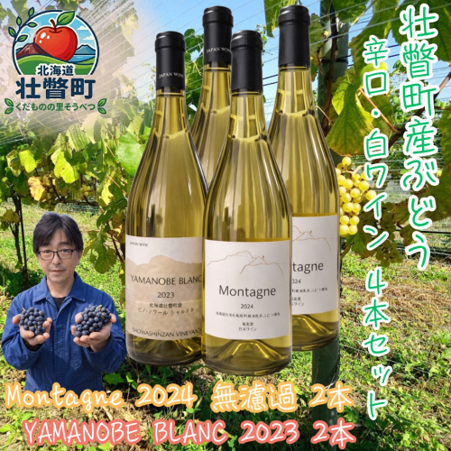 昭和新山ワイン　YAMANOBE BLANC 2023(ヤマノベブラン）とMontagne 2024 無濾過(モンターニュ） の各２本セット 白ワイン 辛口 壮瞥町産ぶどう100%  壮瞥町産ぶどう100% SBTQ015 2614067 - 北海道壮瞥町