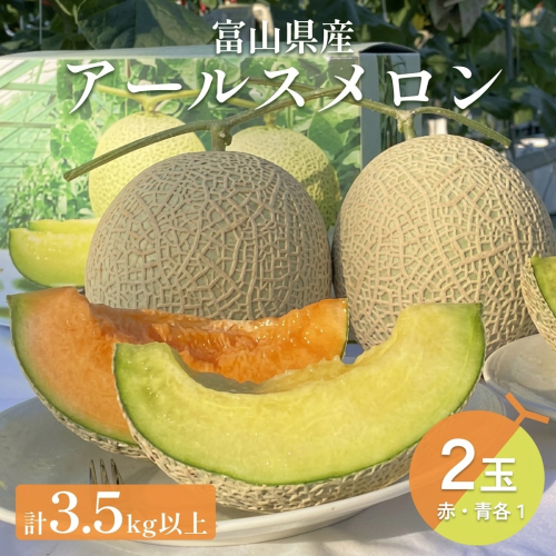 〈先行予約〉 アールスメロン 2個セット 計3.5kg以上（青肉１個、赤肉１個） ＜2026年6月下旬以降発送＞ 【贈答用】【秀品】 2614195 - 富山県氷見市