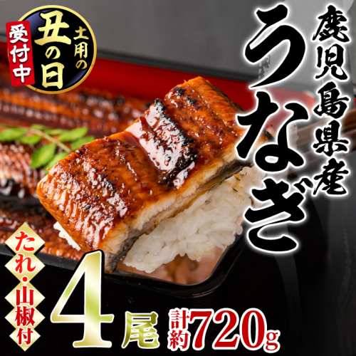 【0264363a-2607】＜土用丑の日までにお届け＞東串良町のうなぎ蒲焼(無頭)(4尾・計約720g・タレ、山椒付)うなぎ 高級 ウナギ 鰻 国産 蒲焼 蒲焼き たれ 鹿児島 ふるさと 人気【アクアおおすみ】 2614196 - 鹿児島県東串良町