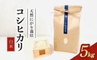 【先行予約】コシヒカリ白米 5kg 令和8年産 天然にがり栽培 こしひかり【2026年10月以降順次発送】