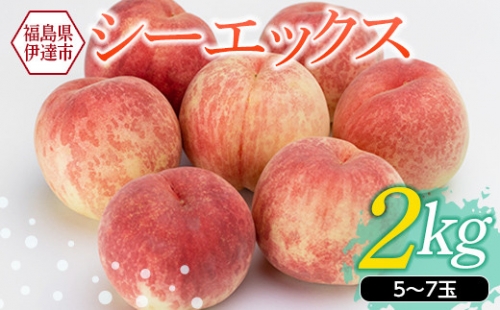 《先行予約》福島県産 桃 シーエックス 2kg（5～6玉） もも モモ CX 新品種 糖度 果物 フルーツ ふるさと納税 予約 福島県 伊達市 F20C-151