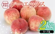 福島の桃 シーエックス2kg（5～7玉） 福島県産 桃 先行予約 フルーツ 果物 もも モモ momo F20C-151