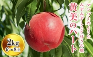 [先行予約]福島県産 桃 黄美のハート 2kg(6〜8玉) F20C-150