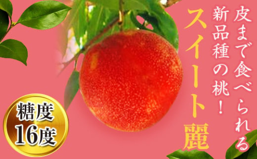 皮まで食べられる新品種 福島県産 スイート麗 1.5kg 2025年8月下旬～2025年9月上旬発送 2025年出荷分 先行予約 予約 伊達の桃 桃 もも モモ 果物 くだもの フルーツ 国産 食品 F20C-149