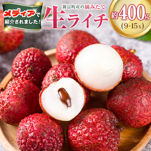 ＜数量限定＞新富町産 ライチ（約400g）国産 フルーツ 果物 贈答品【B704】 2614547 - 宮崎県新富町