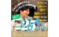 LEX BEAUTY CLINIC　施術チケット25万円分
