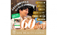 LEX BEAUTY CLINIC　施術チケット60万円分