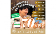 LEX BEAUTY CLINIC　施術チケット70万円分
