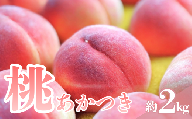 【2026年7月下旬発送】もも　あかつき　約2kg　　桃｜モモ｜果物｜フルーツ｜長野県産｜南信州｜豊丘村