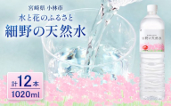 【シリカたっぷり】細野の天然水1,020ml×12本×1箱（ミネラルウォーター 天然水 水 中硬水 シリカ ミネラル 美容 健康 人気 宮崎県 小林市）