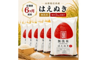 【定期便】無洗米はえぬき5kg×6ヶ月連続中旬発送 計30kg（6月～11月）